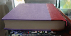 The Perfect Mother By Aimee Molloy Hardcover 317 Pages