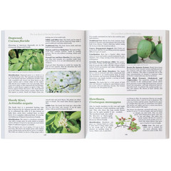The Lost Book of Herbal Remedies Paperback Book