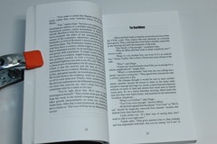 Sapiens‘ Shadow by Walter Palesch (2013) SIGNED
