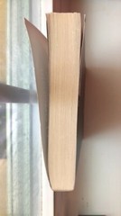 The Third Twin by CJ Omololu Matte Soft Cover Paper Back