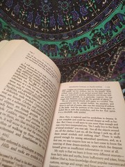 INTRODUCTORY LECTURES ON PSYCHO-ANALYSIS, TOTEM AND TABOO SIGMUND FREUD LOT