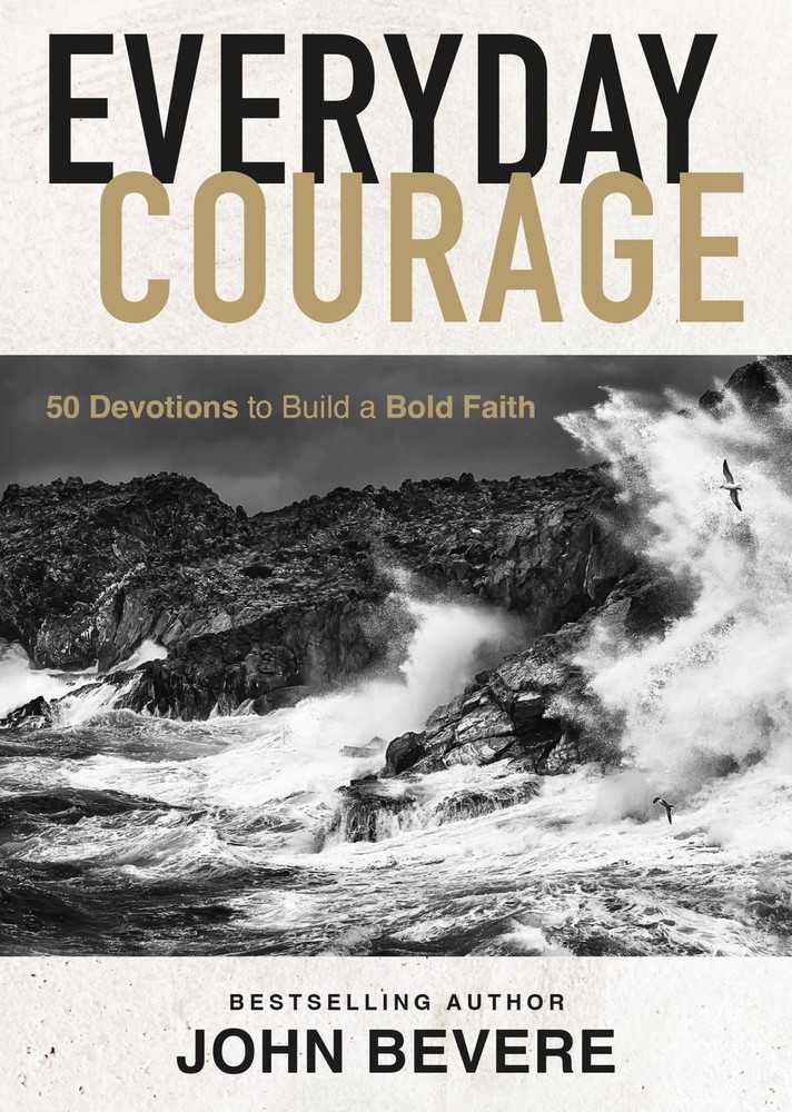 Everyday Courage: 50 Devotions to Build a Bold Faith – hardcover Bevere, Joh…