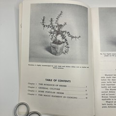 Vintage Herb Gardening Book 1976 Countryside Books 47 pages