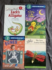 Level 2 I Can Read 14 Book Lot Various Titles Children’s Reading Homeschool